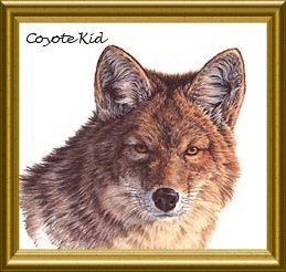 Coyote Kid